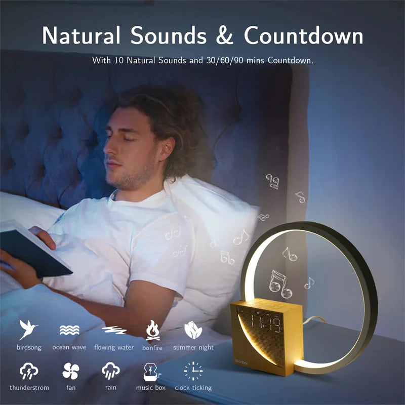 Touch Bedside Lamp with Alarm & Sound